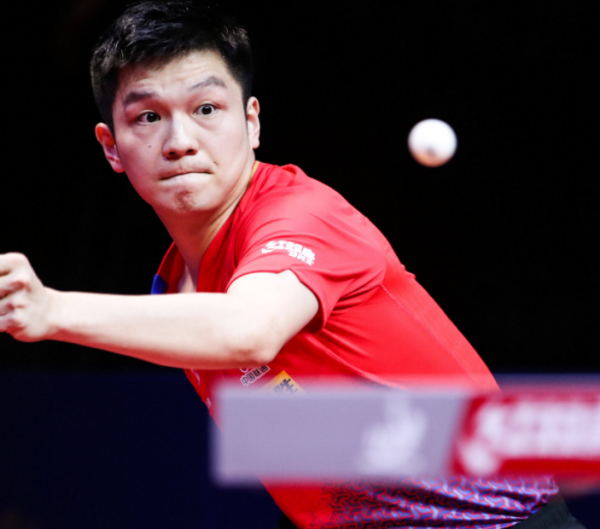 他们所在的 他们所在的